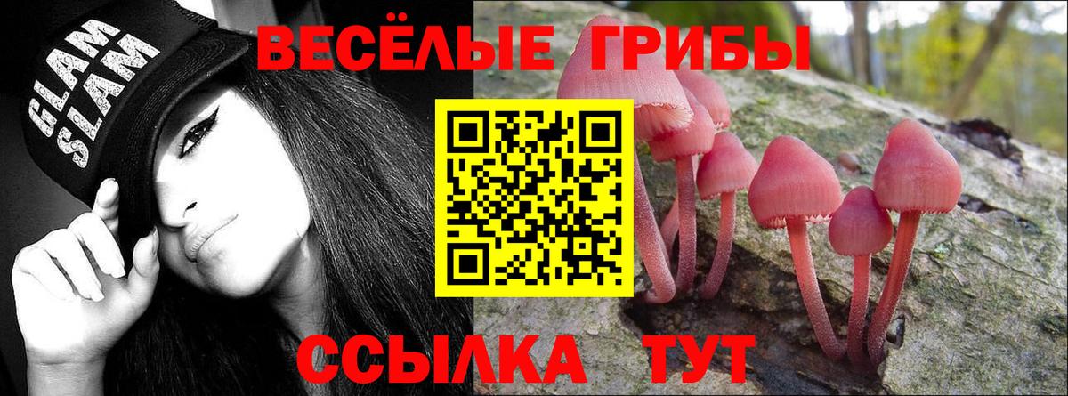 Галлюциногенные грибы Psilocybine cubensis  Вход с VPN  Курган 